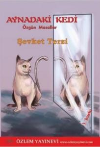 Aynadaki Kedi
