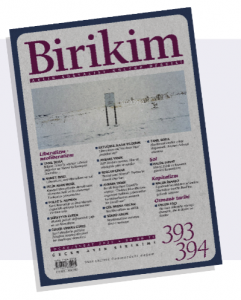 Birikim