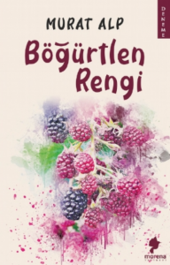 Böğürtlen Rengi