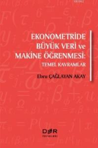 Ekonometride Büyük Veri ve Makine Öğrenmesi; Temel Kavramlar