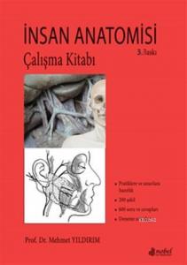İnsan Anatomisi Çalışma Kitabı