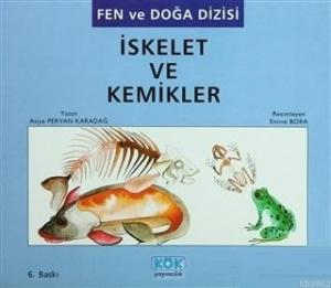 İskelet ve Kemikler