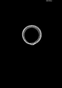 Karanlık Çağ Diyetleri