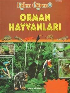 Orman Hayvanları