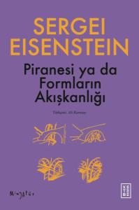 Piranesi ya da Formların Akışkanlığı
