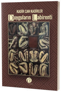 DUYGULARIN LABİRENTİ