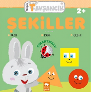 Şekiller