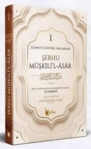 Şerhu Müşkilil Asar, Sünneti Doğru Anlamak 1. Cilt
