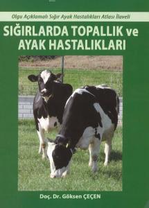 Sığırlarda Topallık ve Ayak Hastalıkları