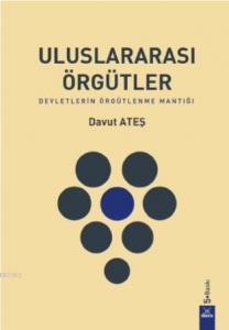 Uluslar Arası Örgütler; Devletlerin Örgütlenme Mantığı