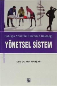 Yönetsel Sistem; Buluşçu Yönetsel Sistemin Geleceği