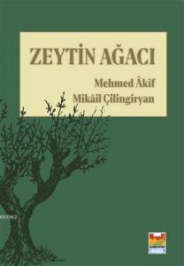 Zeytin Ağacı