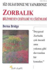 Zorbalık; Bilinmeyen Çeşitleri ve Çözümleri