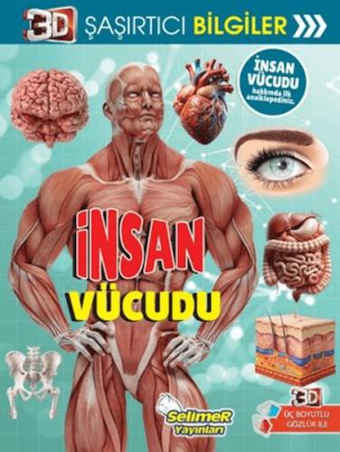 3D Şaşırtıcı Bilgiler - İnsan Vücudu Kolektif