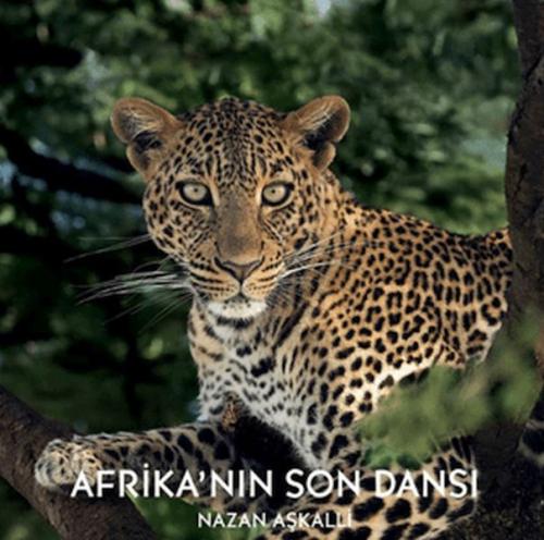 Afrika’nın Son Dansı Nazan Aşkalli