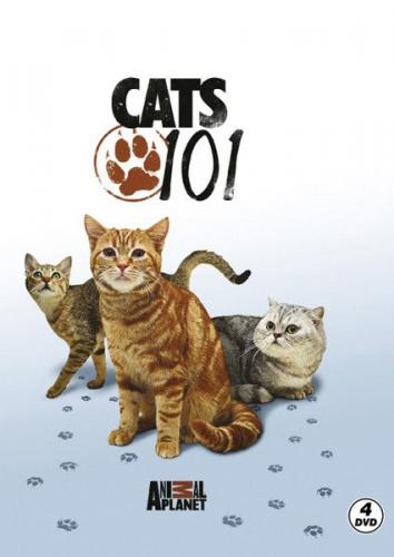 Cats 101 - Kediler Various