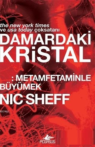 Damardaki Kristal; Metamfetaminle Büyümek