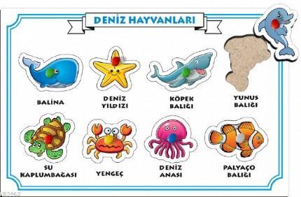 Deniz Hayvanları