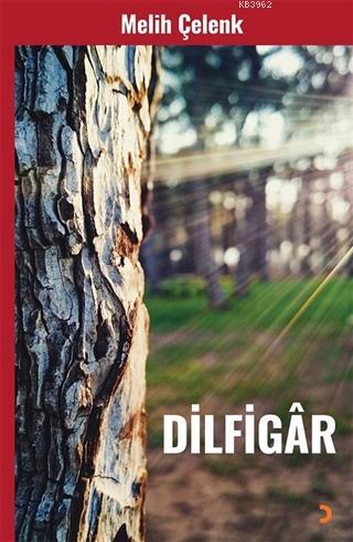 Dilfigar