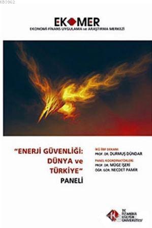 Enerji Güvenliği : Dünya ve Türkiye Paneli 2010 Kolektif