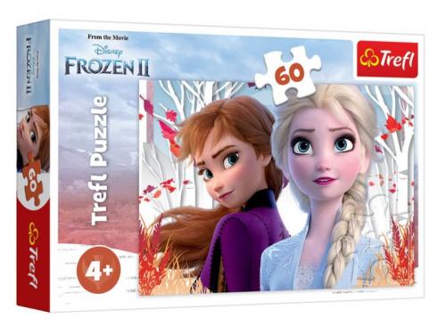 Frozen II The Enchanted World Of Anna And Elsa 17333 (60 Parça)