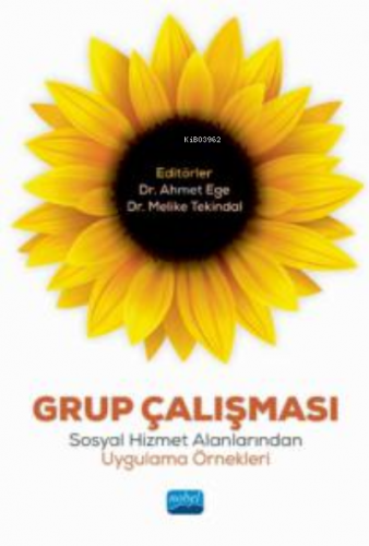 Grup Çalışması: Sosyal Hizmet Alanlarından Uygulama Örnekleri