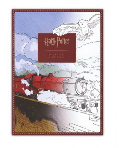 Harry Potter Poster Boyama Seti