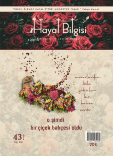 Hayal Bilgisi Kolektif