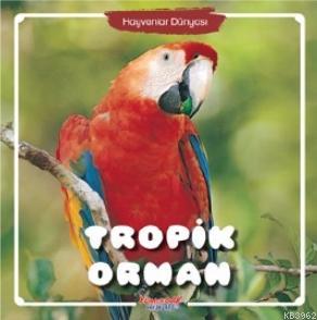 Hayvanlar Dünyası Tropik Orman