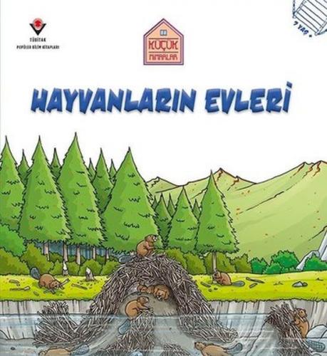 Hayvanların Evleri - Küçük Mimarlar Saranne Taylor
