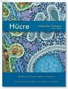 Hücre Moleküler Yaklaşım