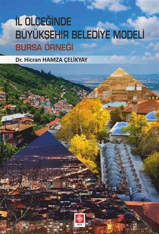 İl Ölçeğinde Büyükşehir Belediye Modeli; Bursa Örneği