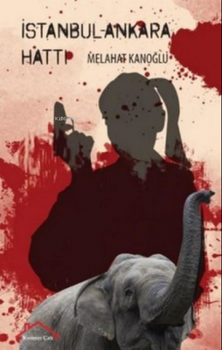 İstanbul - Ankara Hattı