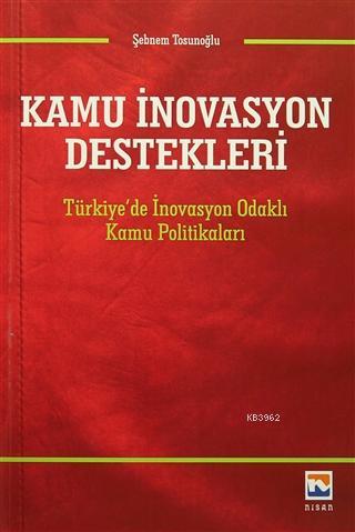 Kamu İnovasyon Destekleri; Türkiye'de İnovasyon Odaklı Kamu Politikaları