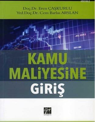 Kamu Maliyesine Giriş