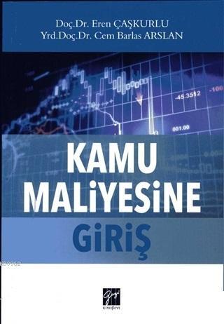 Kamu Maliyesine Giriş