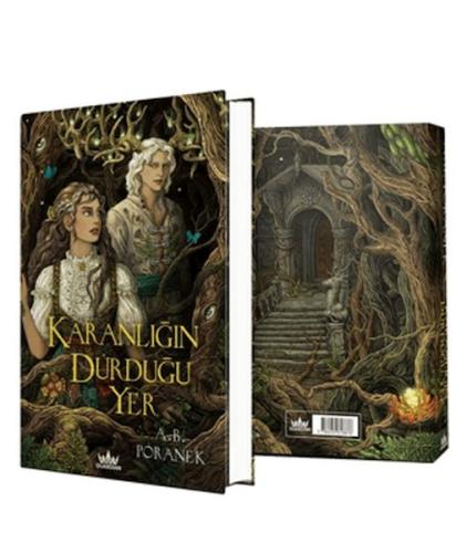 Karanlığın Durduğu Yer Robin Wasley