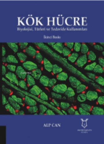 Kök Hücre Biyolojisi, Türleri ve Tedavide Kullanımları
