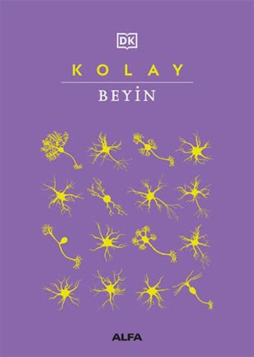 Kolay Beyin (Ciltli) Kolektif