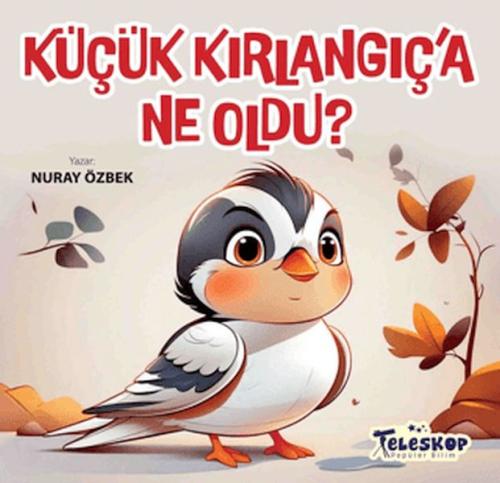 Küçük Kırlangıç'a Ne Oldu Nuray Özbek
