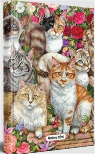 Meraklı Kediler - Planlama Defteri