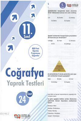 Nitelik - 11. Sınıf Coğrafya Yaprak Testleri