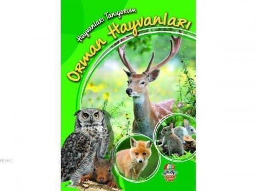 Orman Hayvanları - Hayvanları Tanıyorum