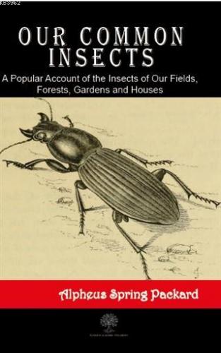 Our Common Insects A Popular Account of the Insects of  Our Fields, Forests, Gardens and Houses