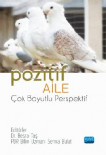 Pozitif Aile-Çok Boyutlu Perspektif