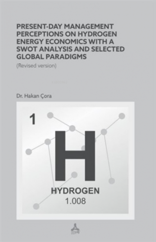 Present-Day Management Perceptions on Hydrogen Energy Economics whit A