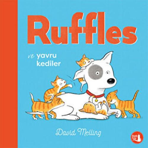 Ruffles ve Yavru Kediler David Melling