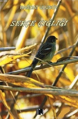 Serçe Çığlığı Bağdat Ulusoy