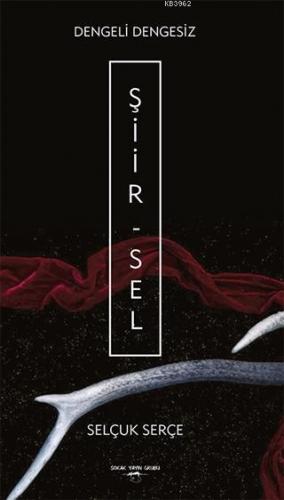 Şiir-sel Dengeli Dengesiz