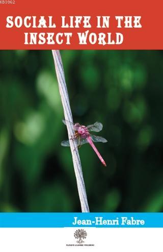 Social Life in the Insect World